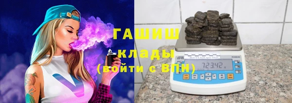 гашик Гусев