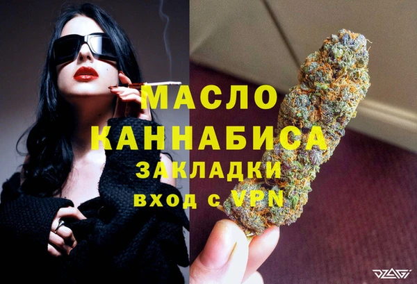 эйфоретик Гусь-Хрустальный