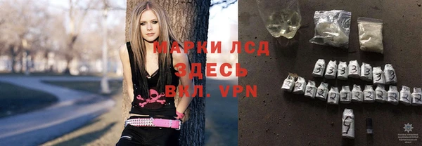 эйфоретик Гусь-Хрустальный