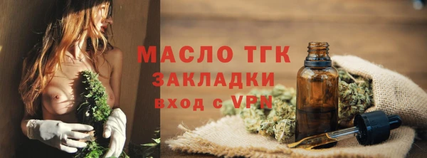 гашик Гусев