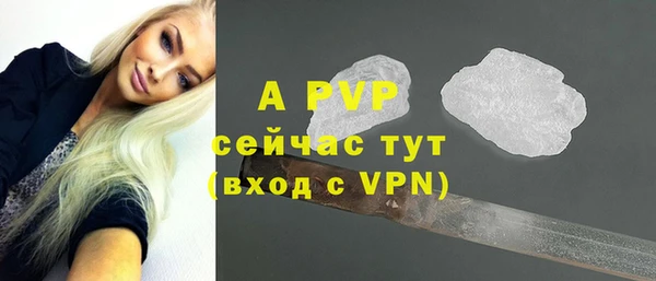 гашик Гусев