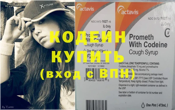 эйфоретик Гусь-Хрустальный