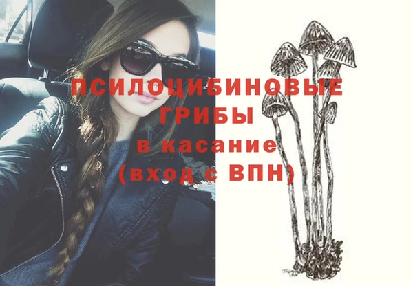 гашик Гусев