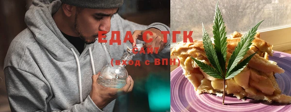 эйфоретик Гусь-Хрустальный