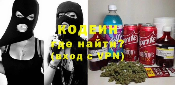 гашик Гусев