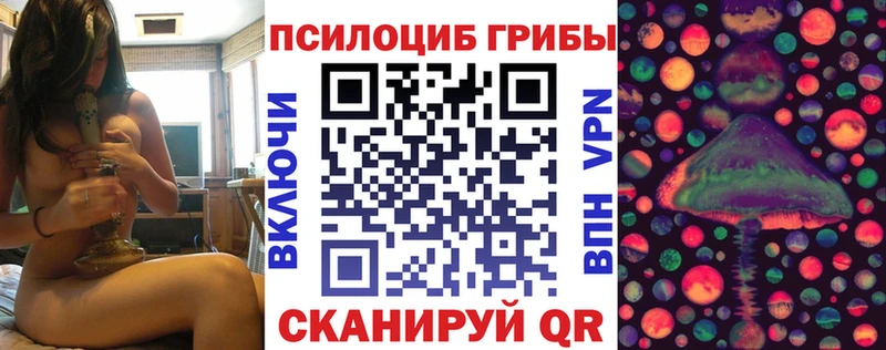 Купить где  Ржев  Галлюциногенные грибы Psilocybe 